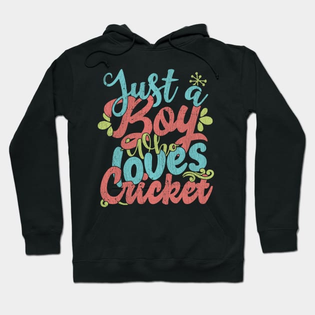 Just A Boy Who Loves Cricket Gift product Hoodie by theodoros20